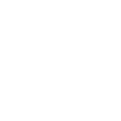 Relatório Resumido da Execução Orçamentária